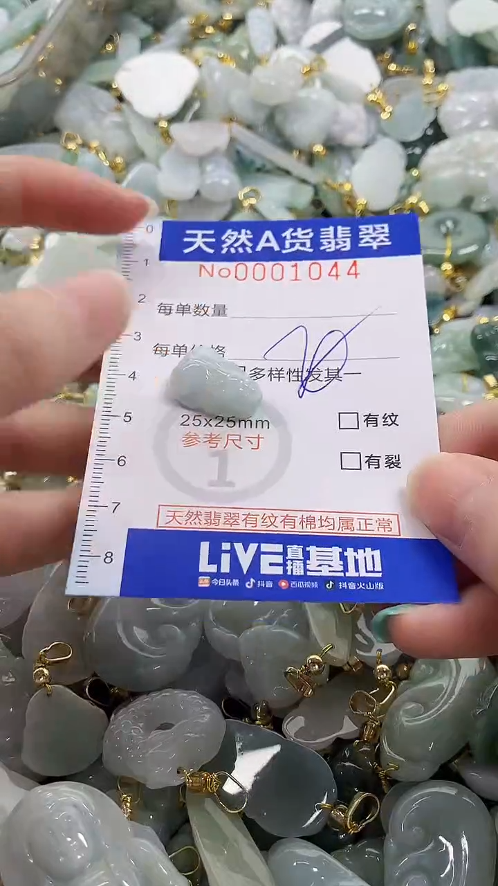 颈饰未镶嵌翡翠纯天然a货翡翠