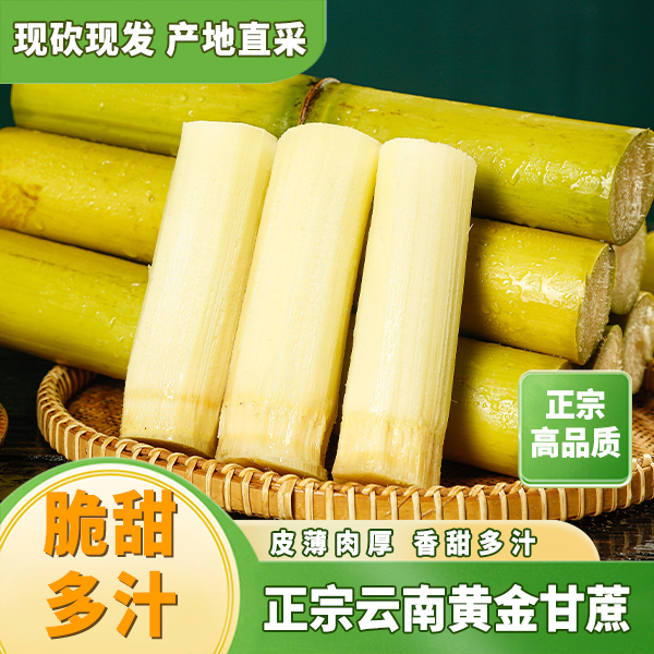 【产地直发】云南西双版纳黄金甘蔗现砍现发脆甜多汁新鲜脆皮黄皮T