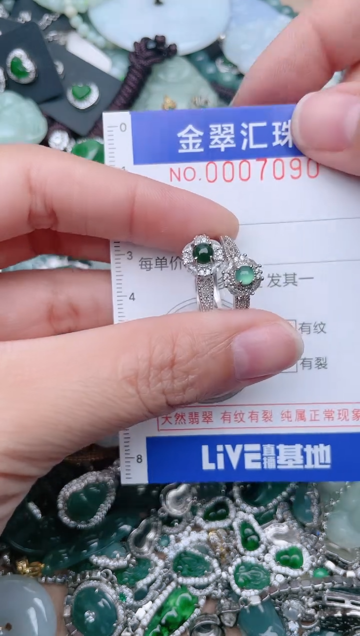 【闪购商品】翡翠颈饰未镶嵌7090..1.