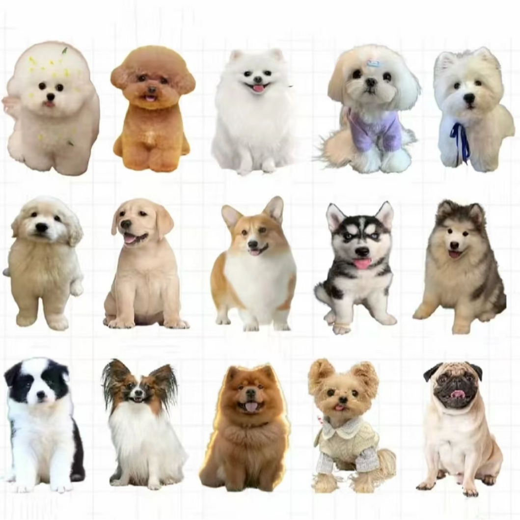 直播间挑选活体狗狗一物一拍比熊博美边牧德牧田园犬混血