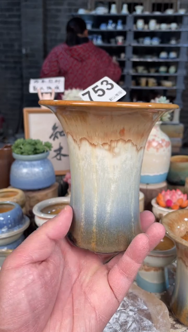 瓷片753知木小芳花盆直播编号