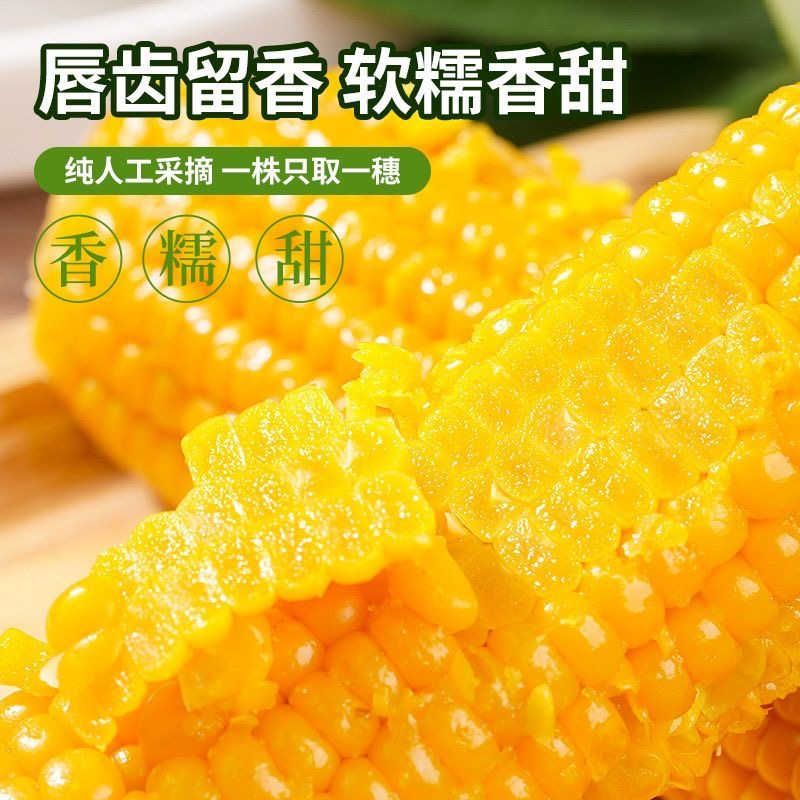 p试吃两根 东北香甜黄糯玉米速冻五连包10根大棒整箱5斤以上