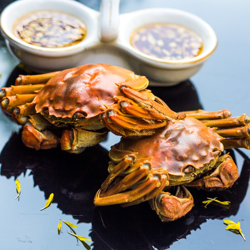 16只装包邮16只装包邮