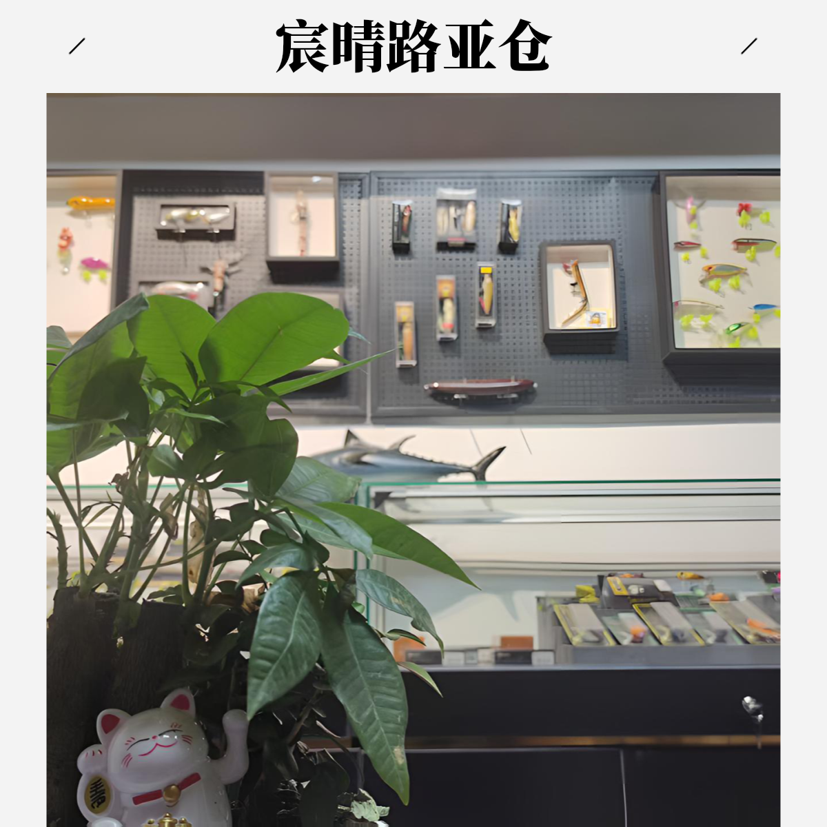 直播特惠 | 各种路亚口粮饵 | 无特殊标注发两个 | 颜色随机