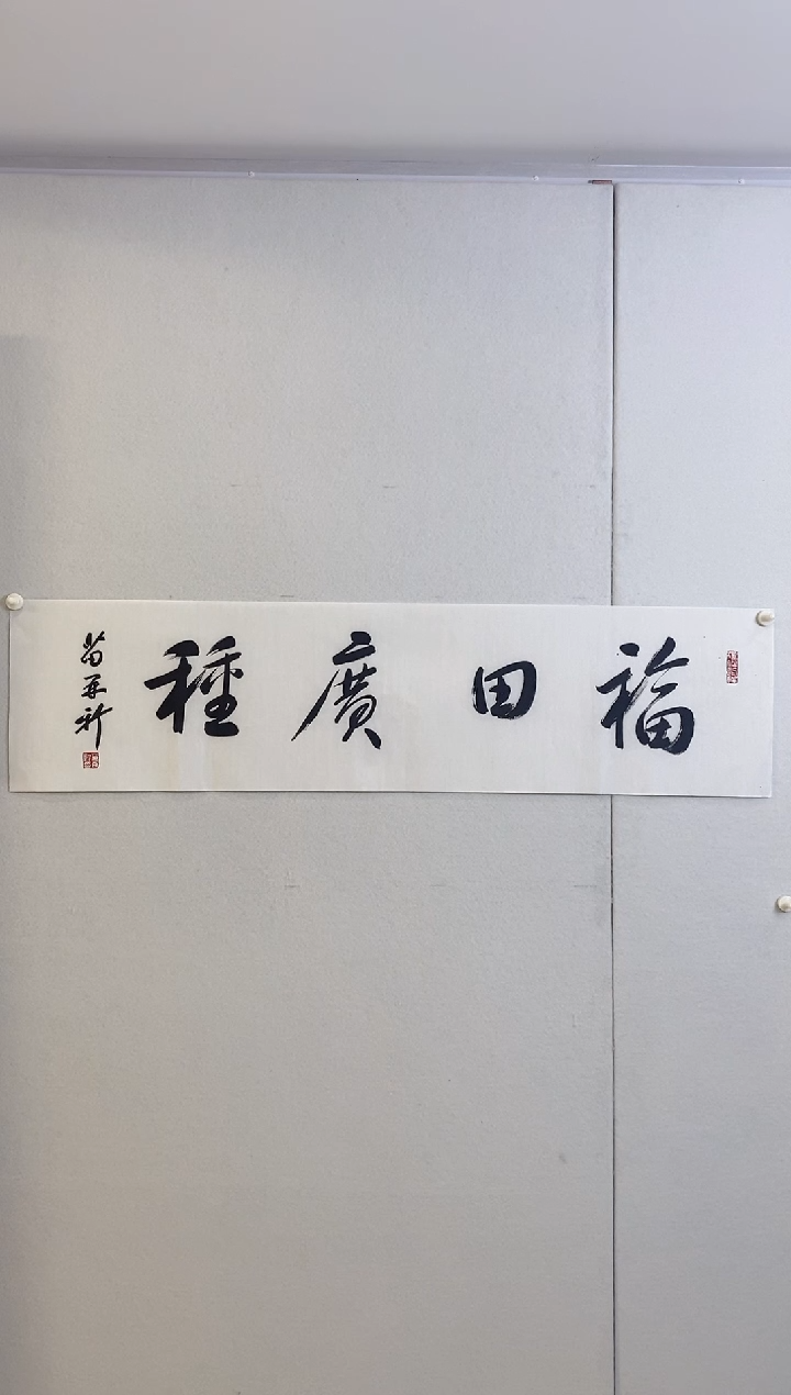 书法9.09MZX《书法-福田广种》4P
