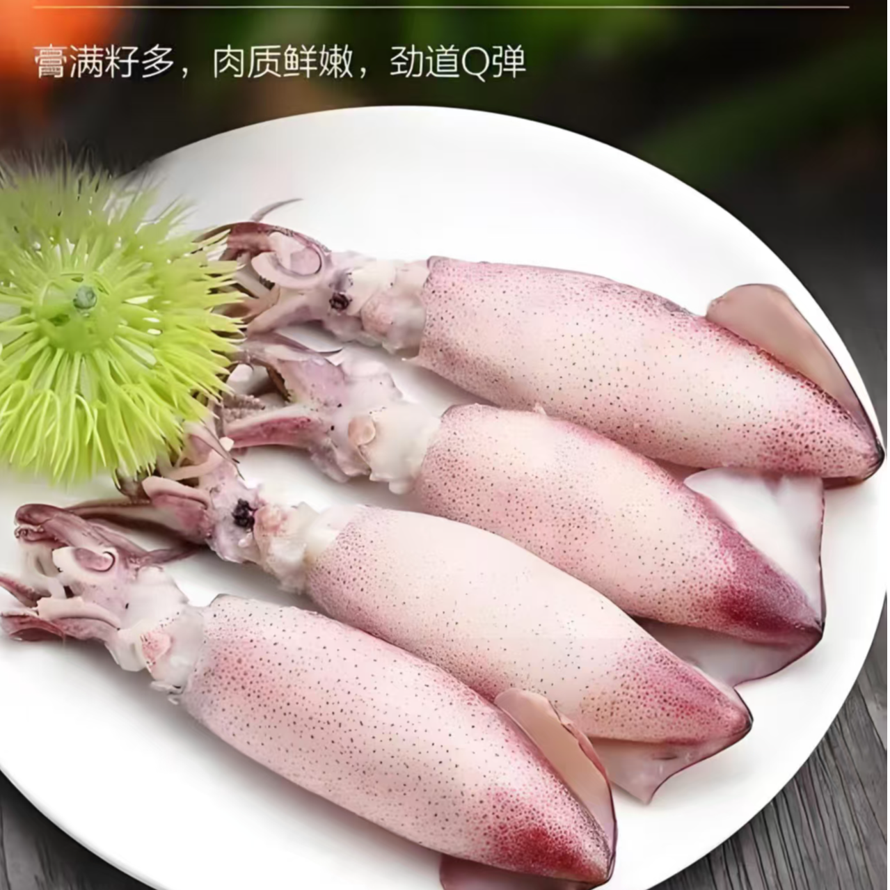 全母笔管鱿鱼一斤