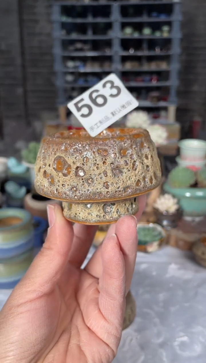 瓷片563小芳直播编号