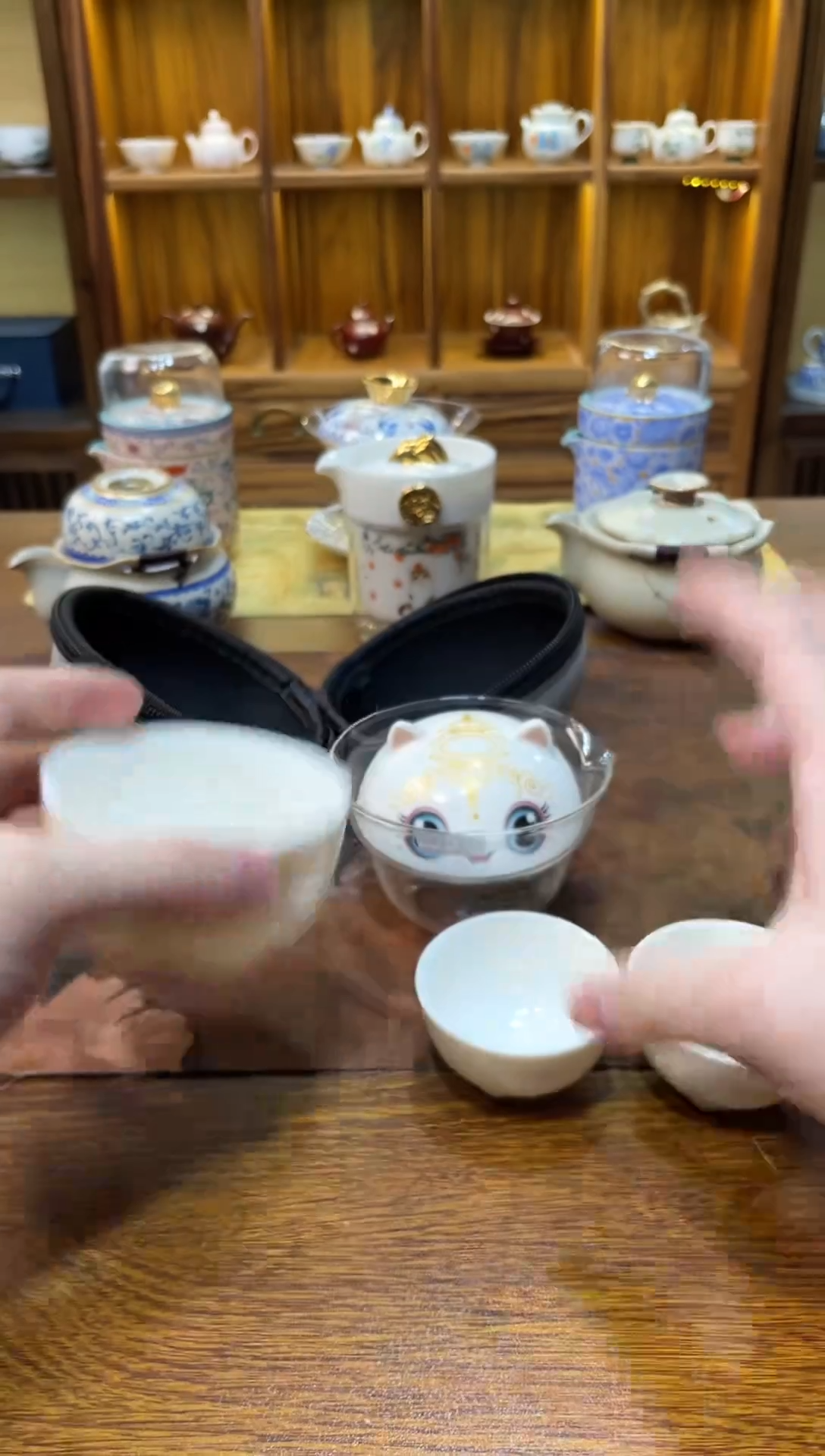 130品好茶赏好器旅行茶具