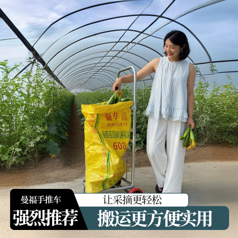 移动装袋器撑袋车农用手推车多功能移动车搬运车灌袋专用车