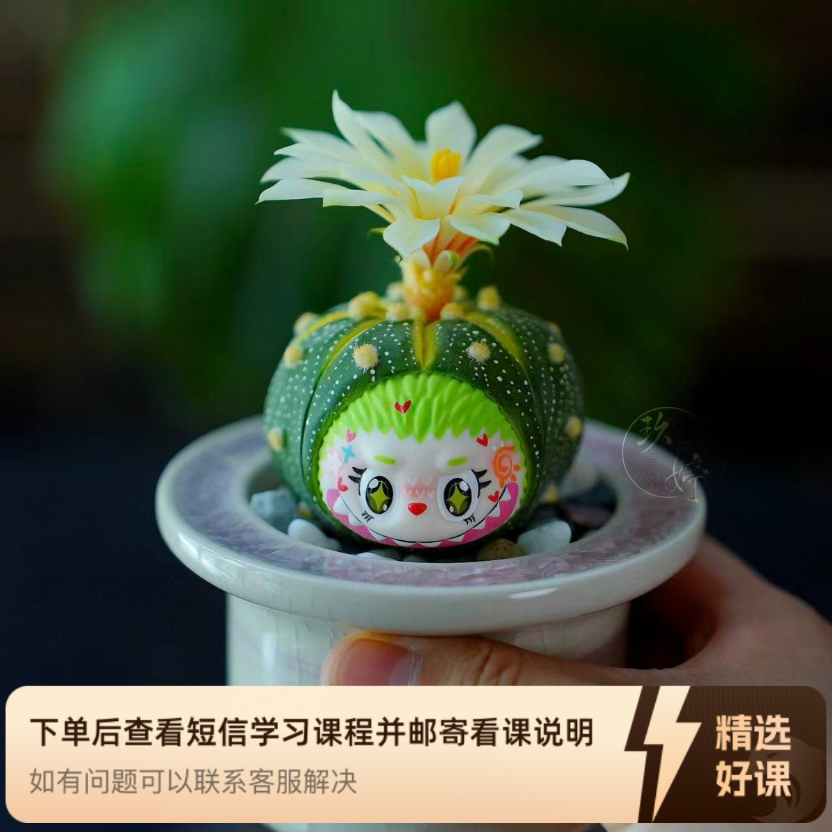 粘土手工星兜仙人球（黄金兜）”线上课（留意短信解锁课程）
