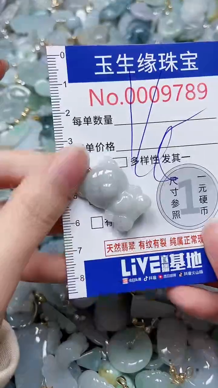 【闪购商品】翡翠颈饰未镶嵌闪购00009789
