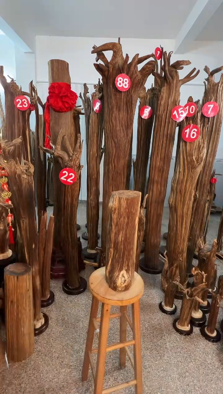 沉香沉香碎屑沉香原料H