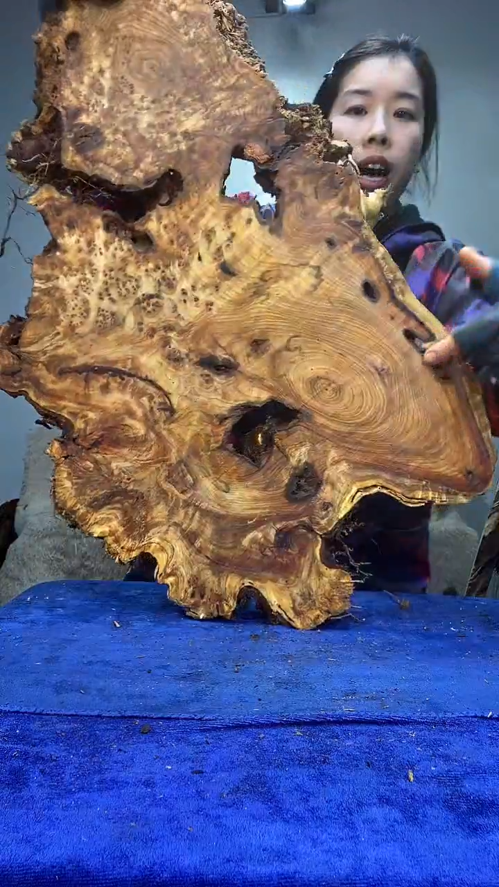 【闪购商品】香杉木木艺树根木质原材料