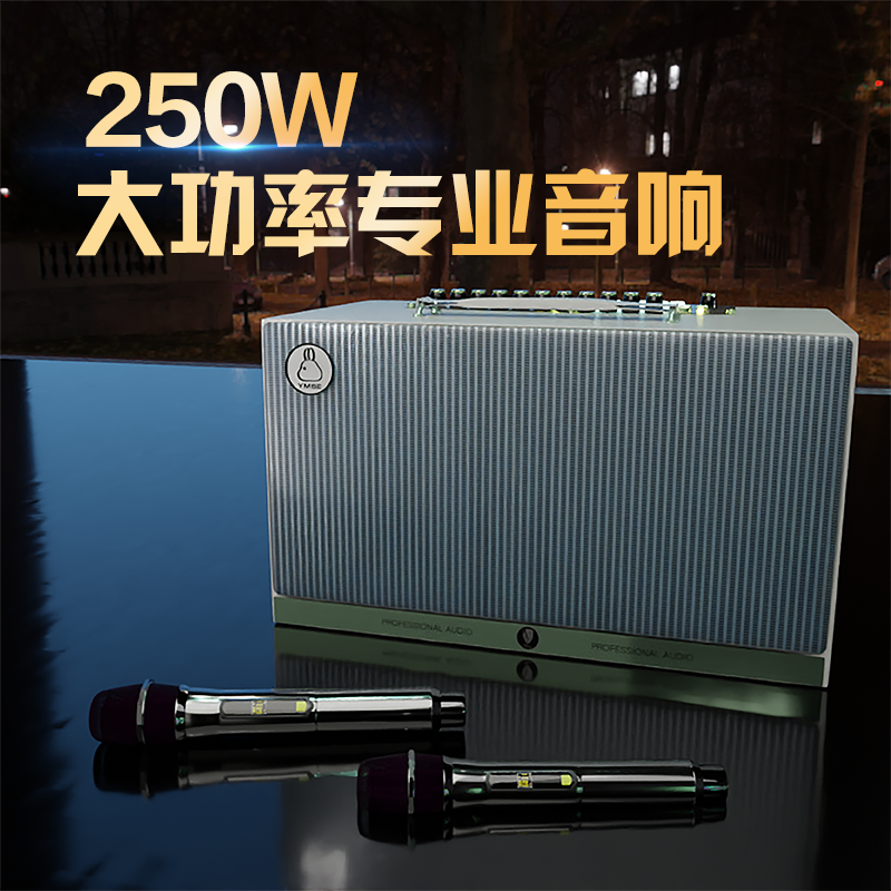 雅米塞尔250W专业大功率充电音箱K歌弹唱乐器吉他音箱直播内录OTG