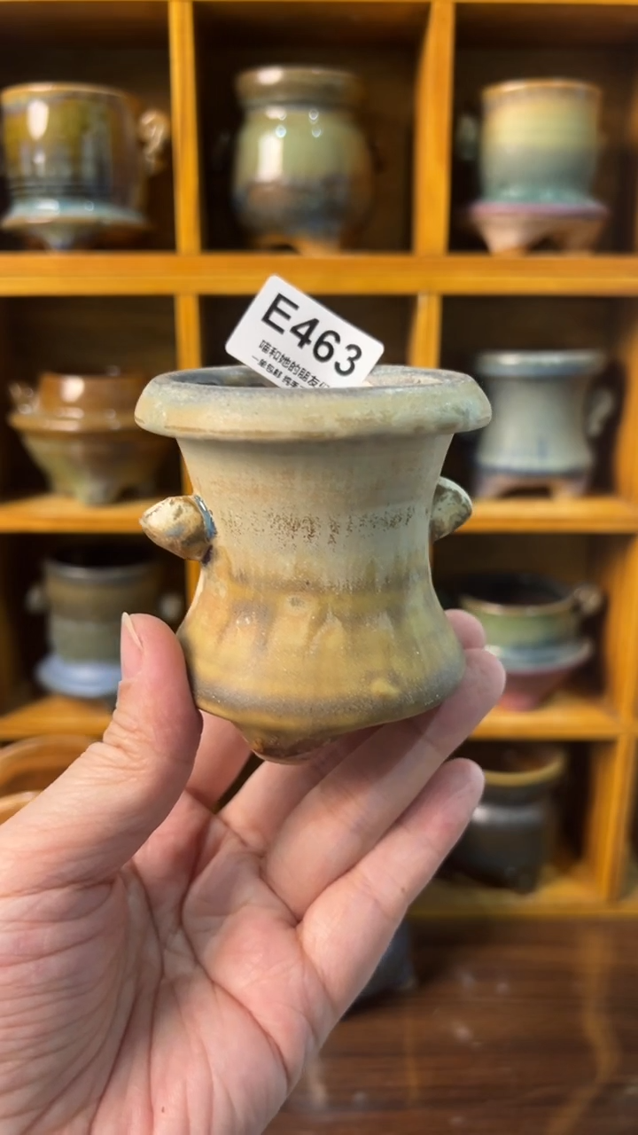 463 内口5【多肉花盆多肉盆】