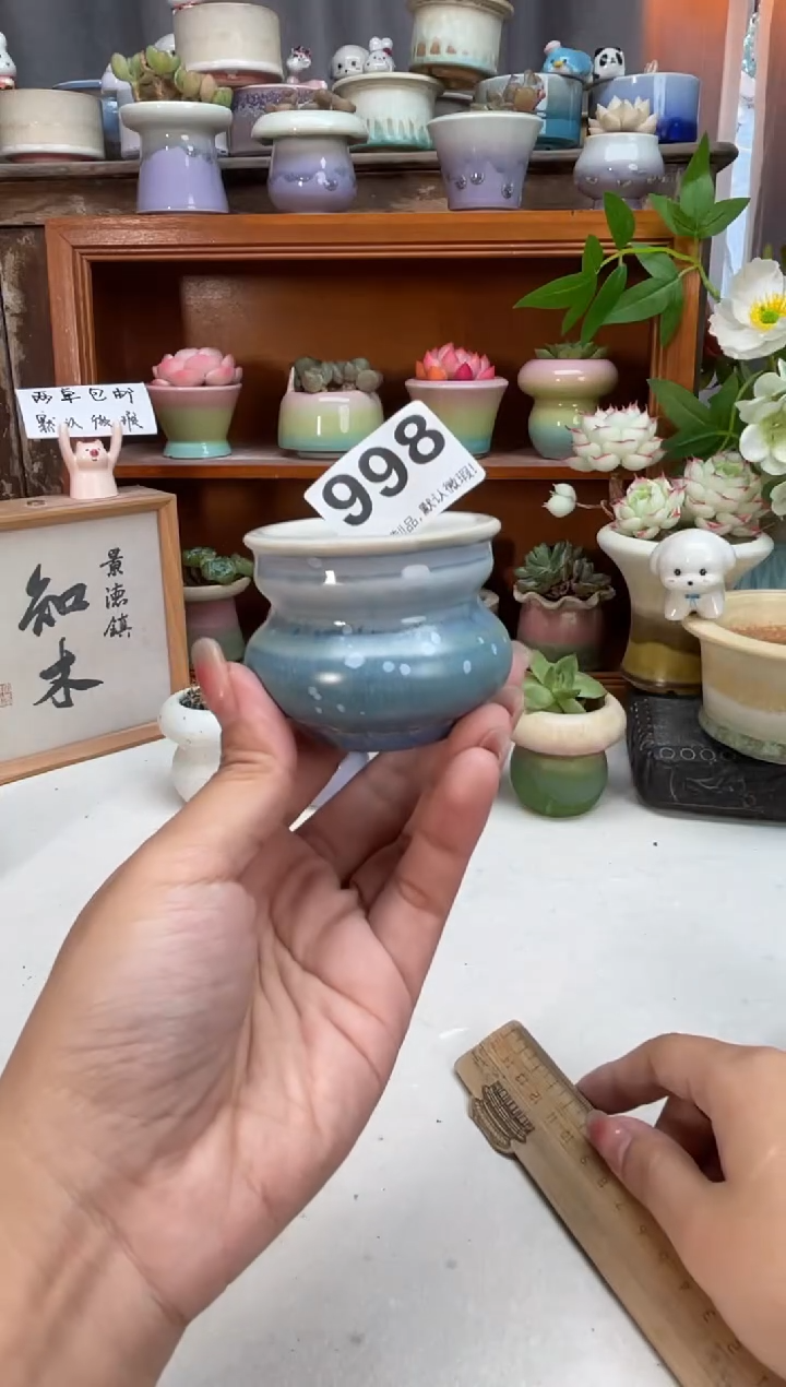 瓷片998知木小芳花盆