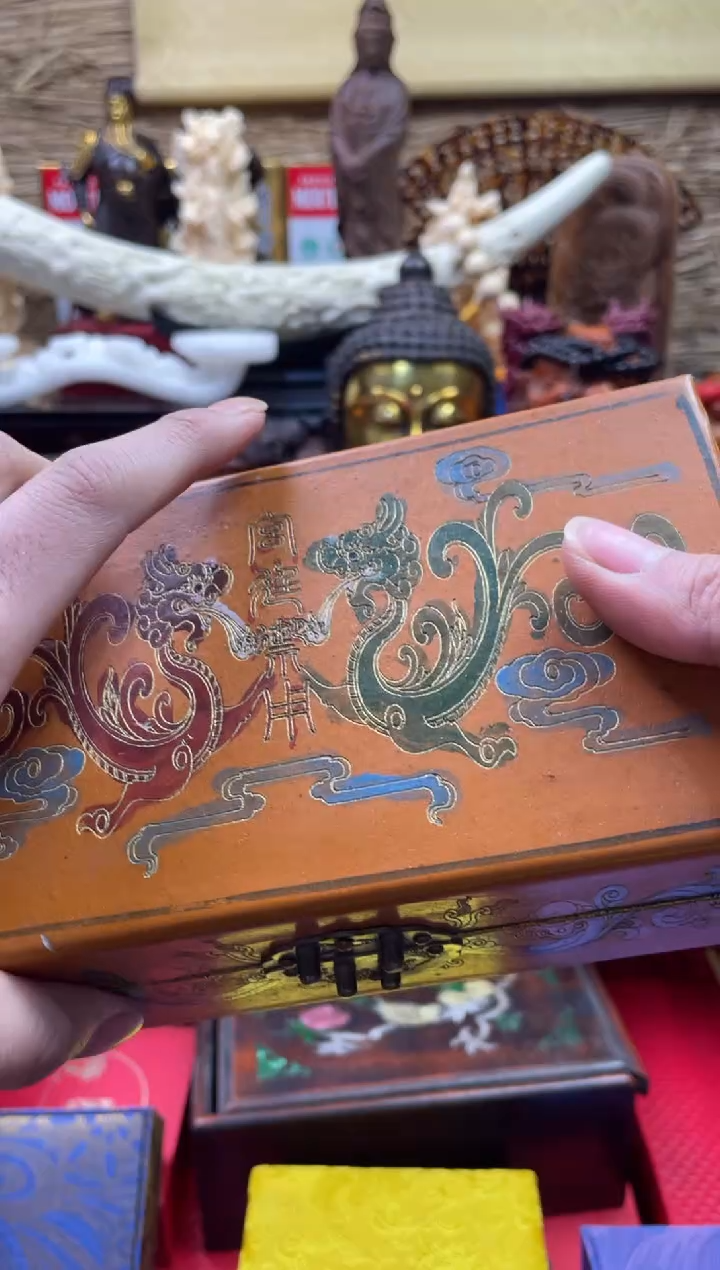 【闪购商品】一一一一一一大脑