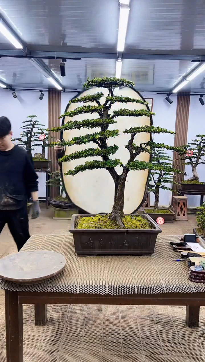 【闪购商品】0000000