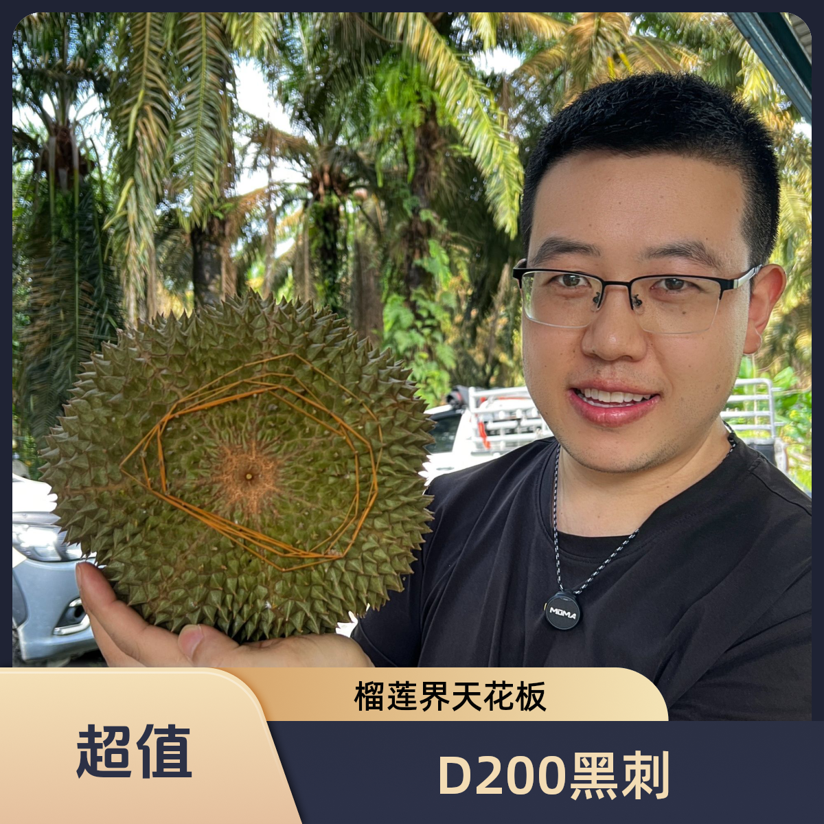 黑刺D200进口马来西亚树熟榴莲