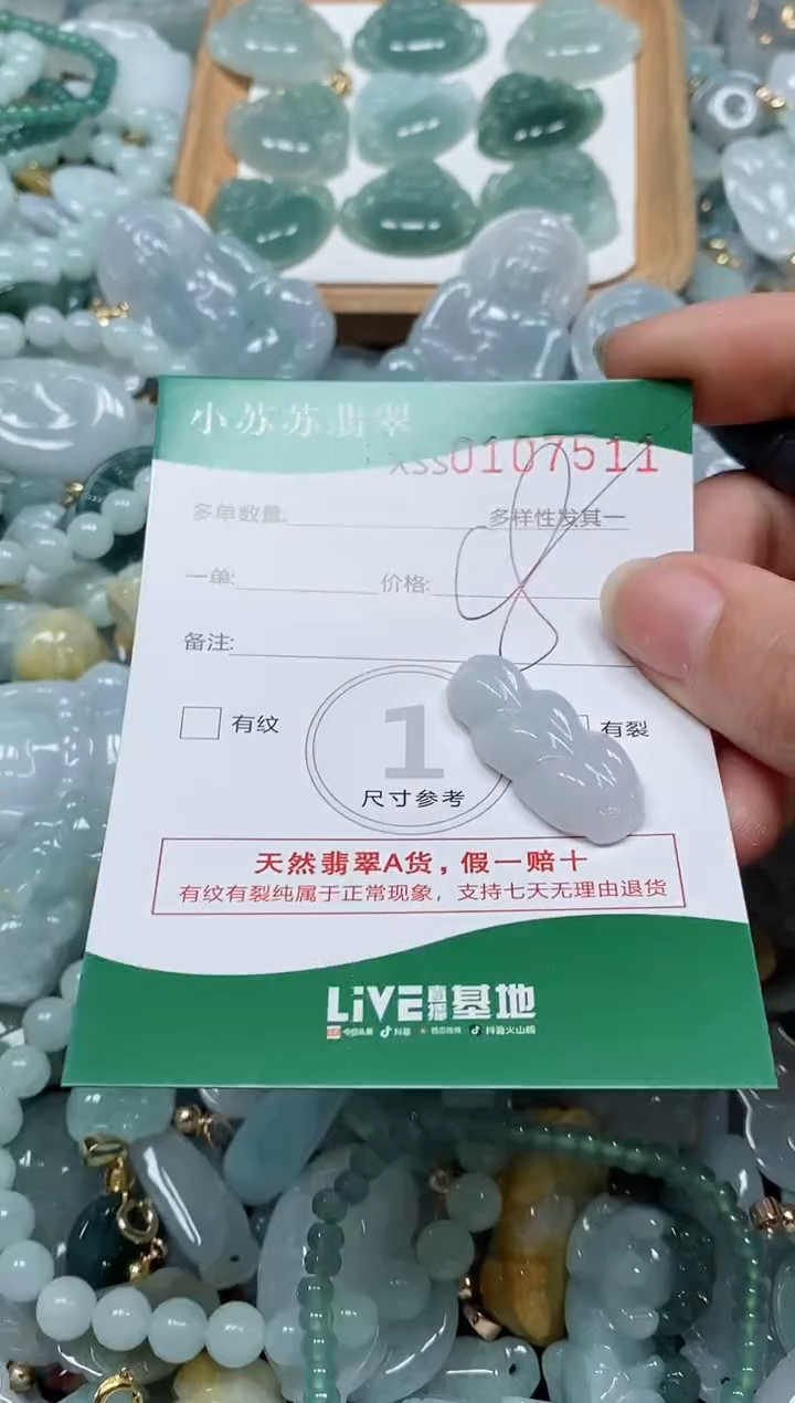 【闪购商品】翡翠颈饰未镶嵌闪购商品0107511