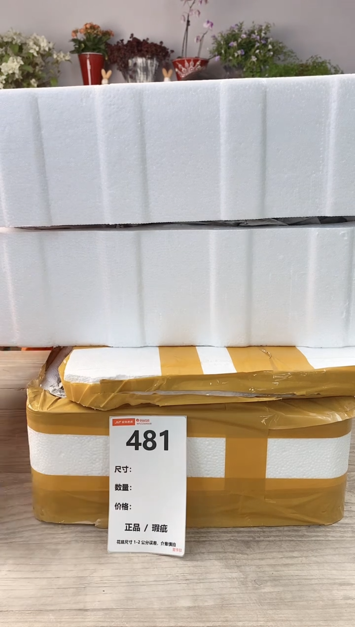 小玩子花盆直播号481