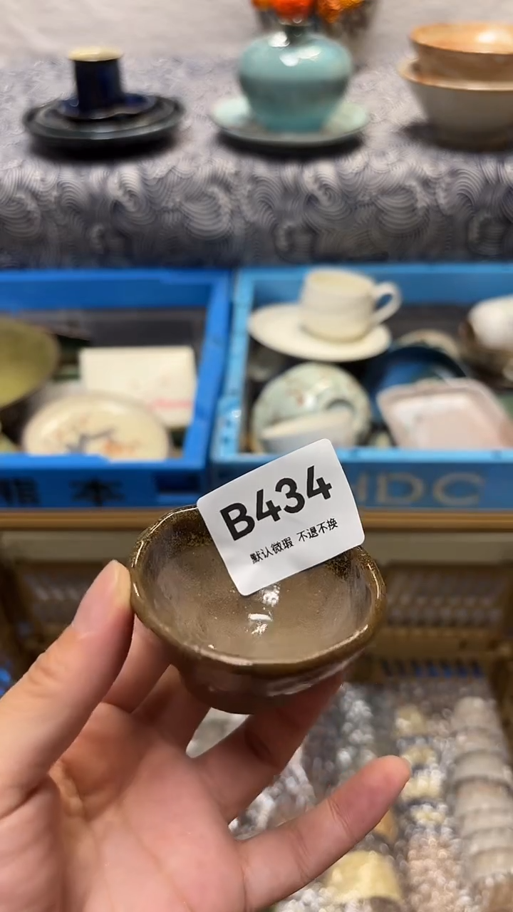 瓷片睡**王喵喵家都是大漂亮