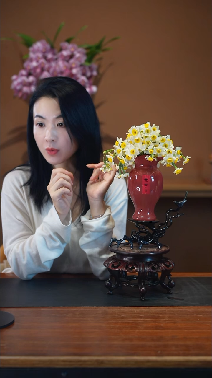 全部花朵水仙红盆盆景盆景盆景