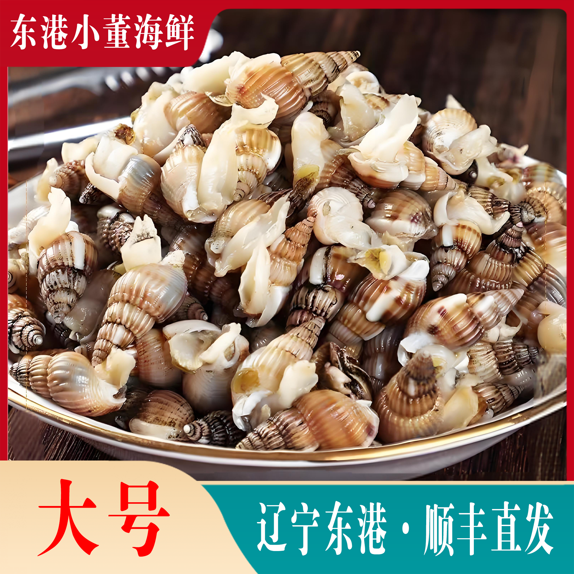 【大号】东港鲜活海锥北方海锥锥300粒左右/斤顺丰保活㊟嫌小拍大