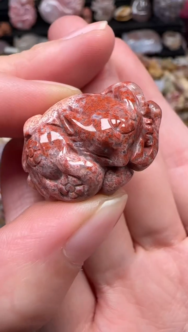 颈饰未镶嵌硅化珊瑚（珊瑚玉）682