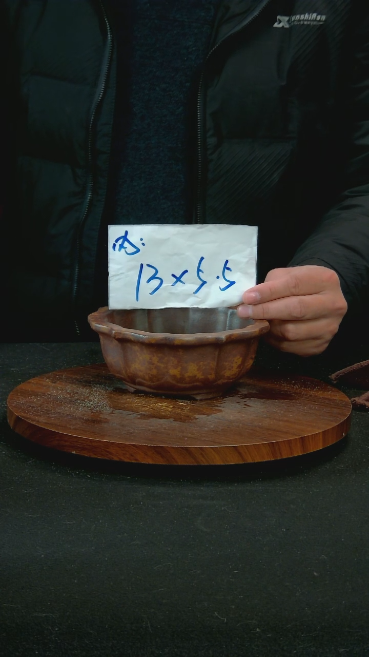 【闪购商品】紫砂W70