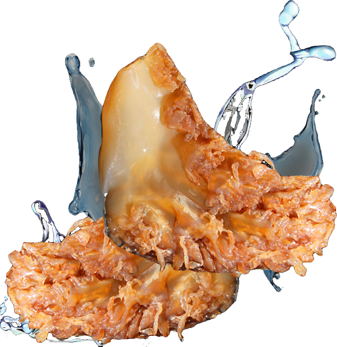 25年海蜇角硬脆爽鲜脆爽口海蜇头凉拌菜盐渍非即食海蜇头