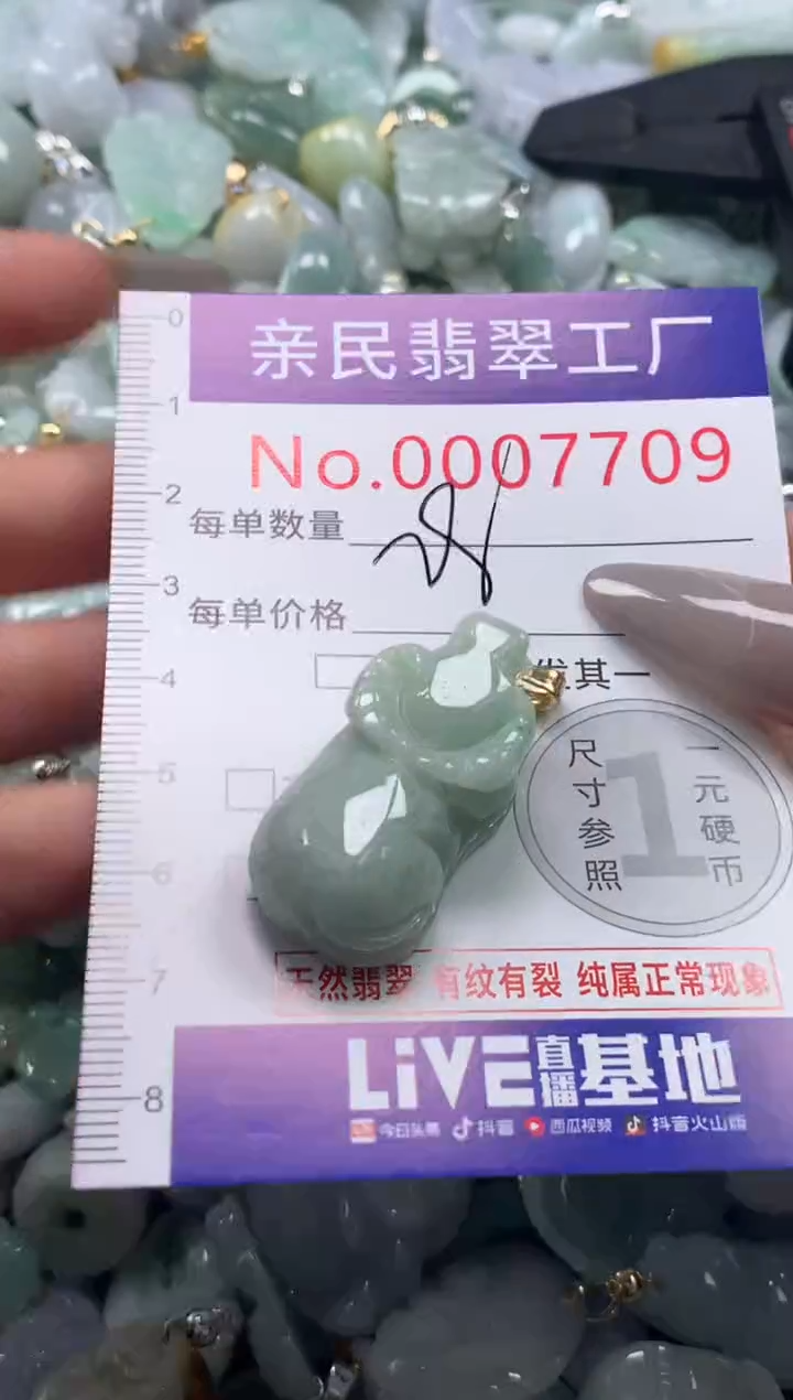 颈饰未镶嵌翡翠7709