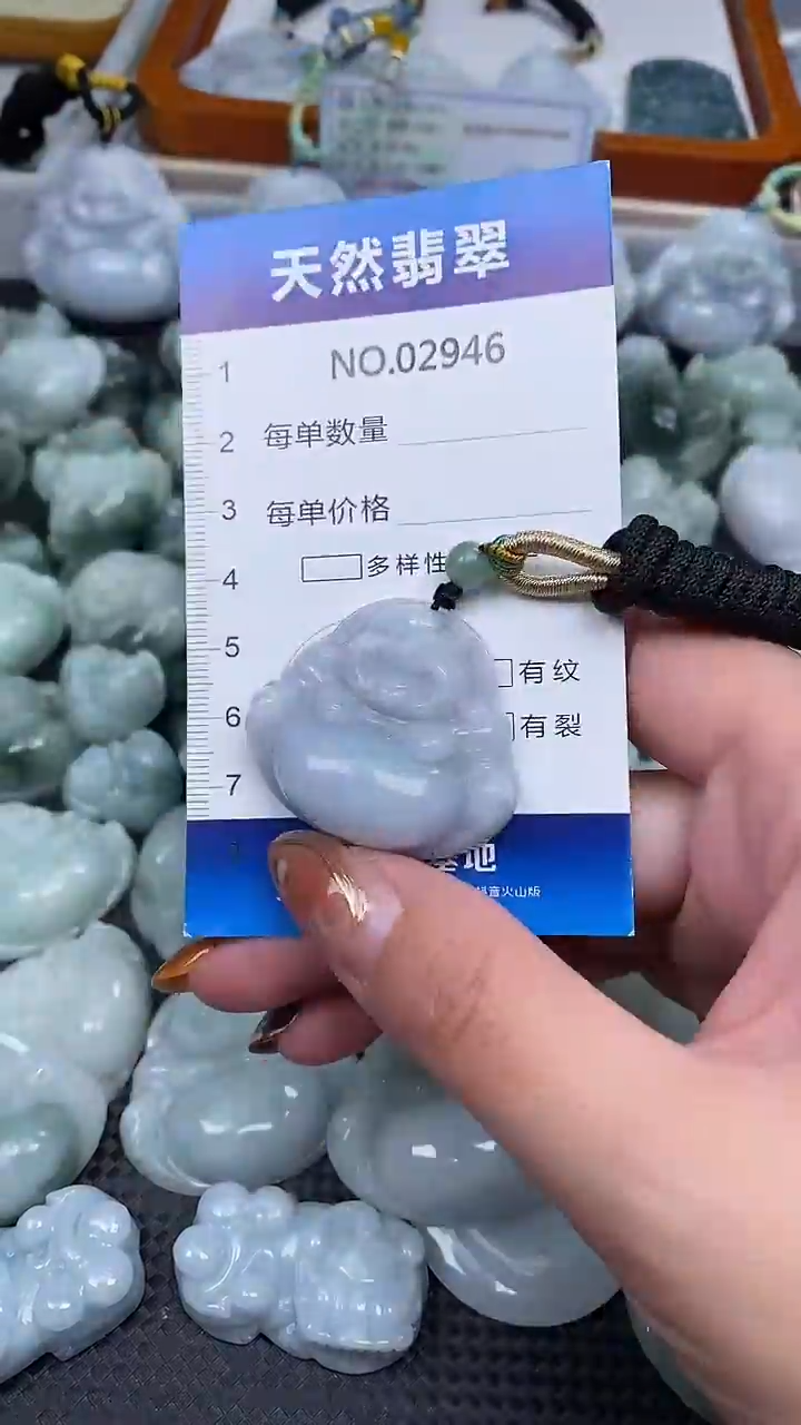 颈饰未镶嵌翡翠纯天然A货翡翠2946