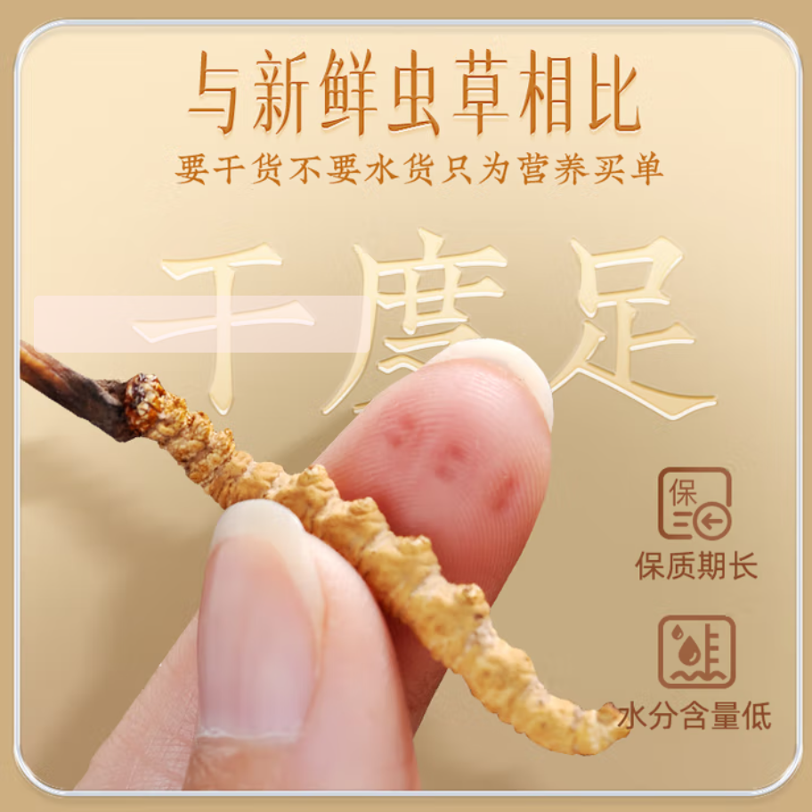 冬虫夏草精选滋补养生煲汤煮水泡酒