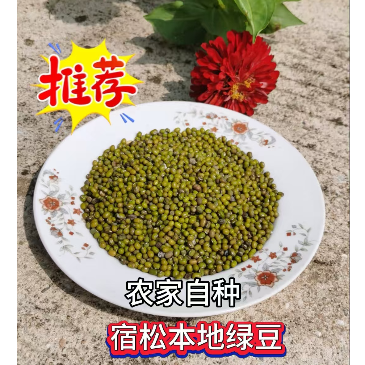 安徽宿松支农助农乡下绿豆新货五谷杂粮绿豆粥绿豆沙新鲜绿豆