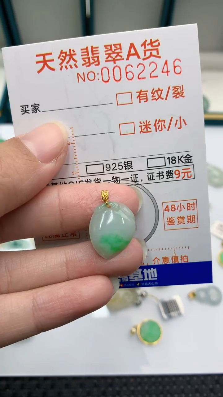 【闪购商品】翡翠颈饰18K金镶嵌            8