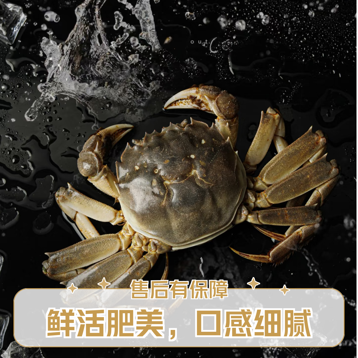 （江苏蟹）螃蟹3.5两母蟹10只