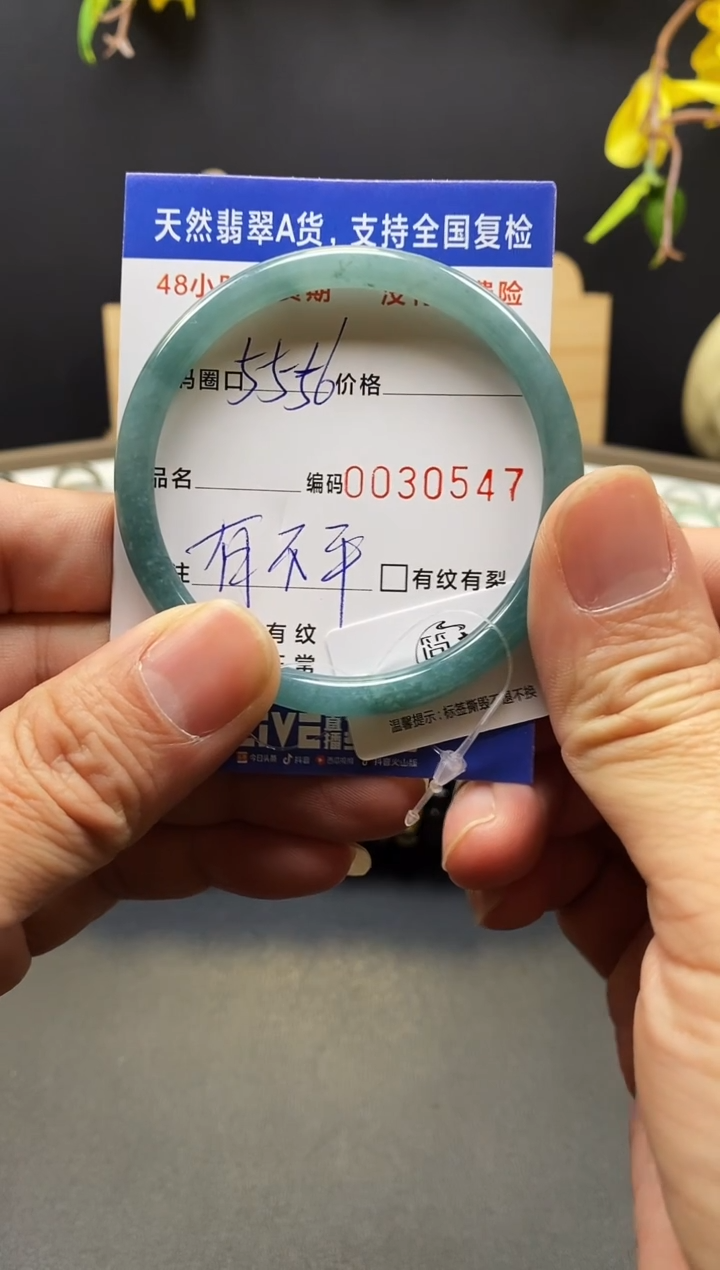 未镶嵌手镯翡翠0547