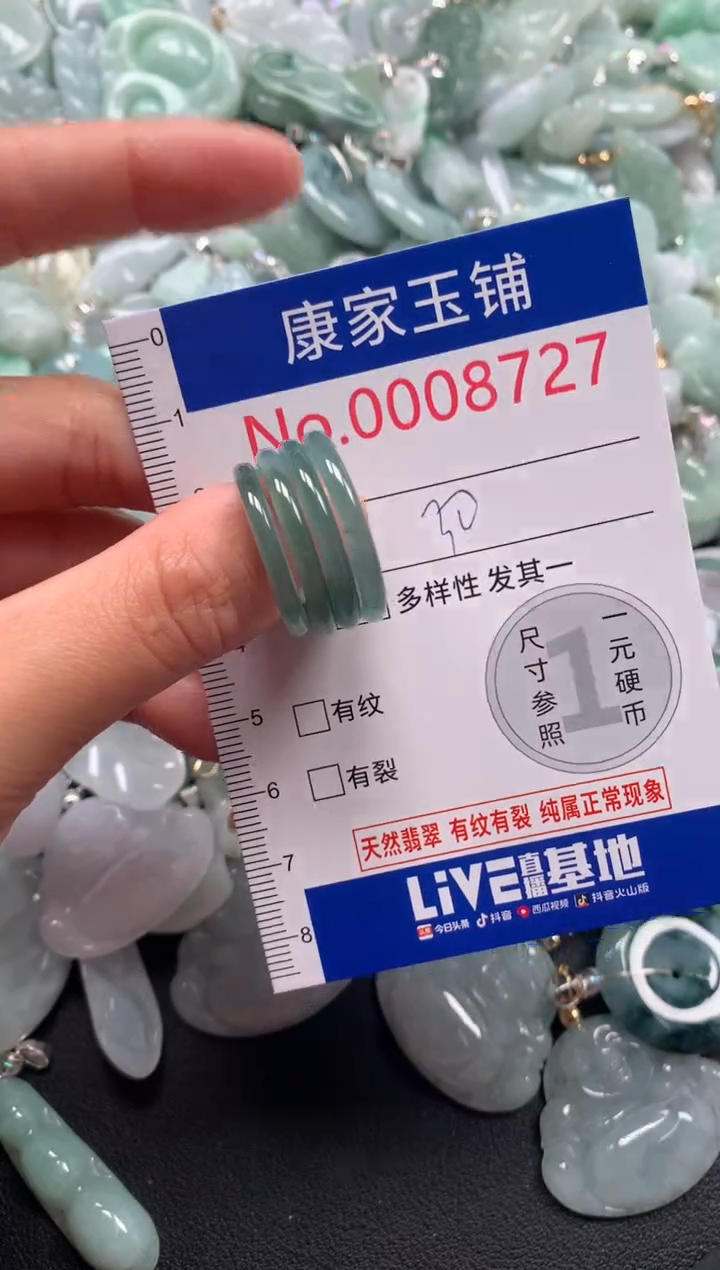 颈饰未镶嵌翡翠8727