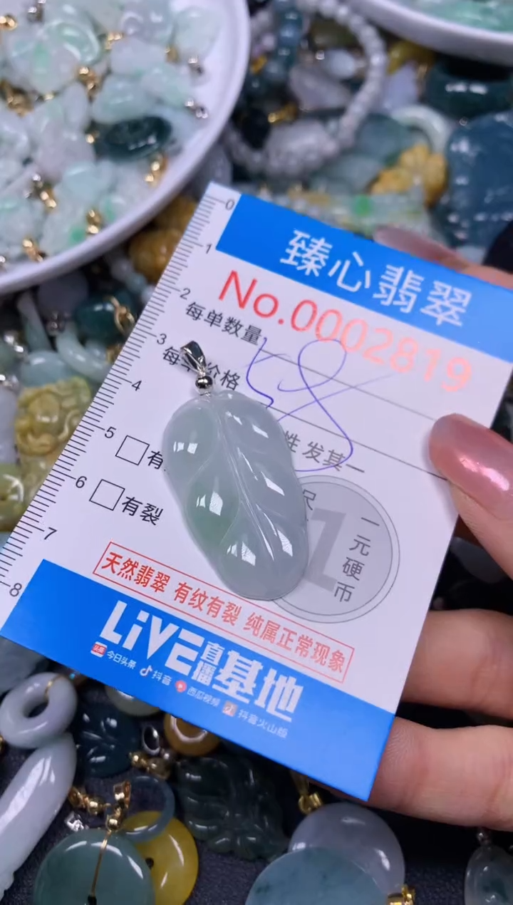 【闪购商品】翡翠颈饰未镶嵌含绳0002819