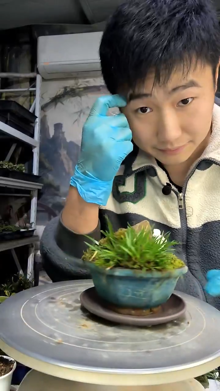 烦****吴中青园艺一物一拍花293