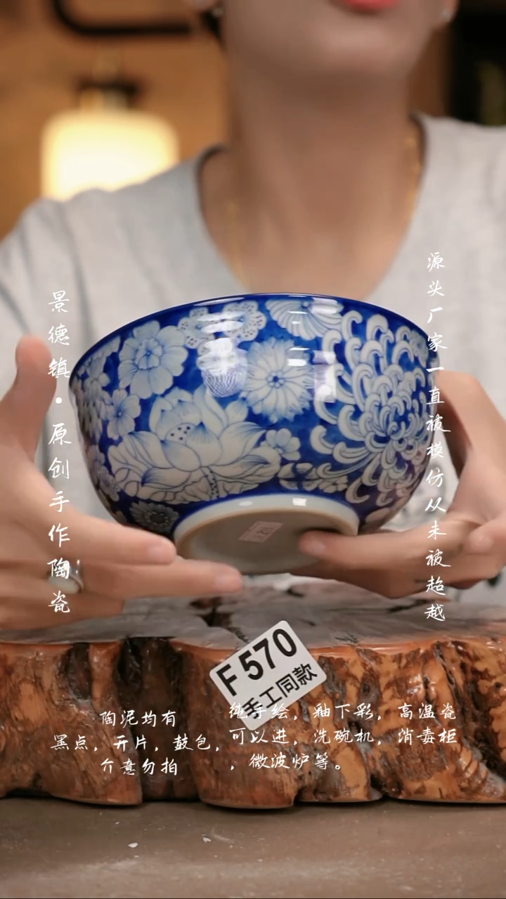 其他F570新十二器