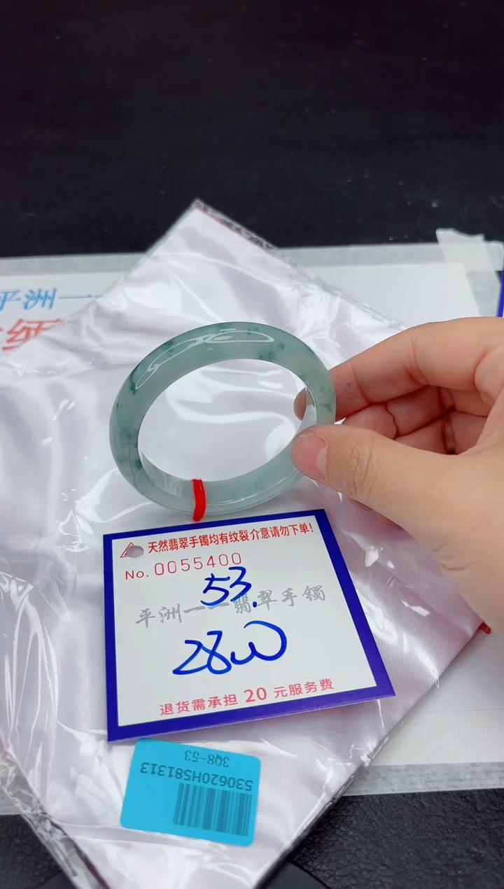 未镶嵌手镯翡翠1