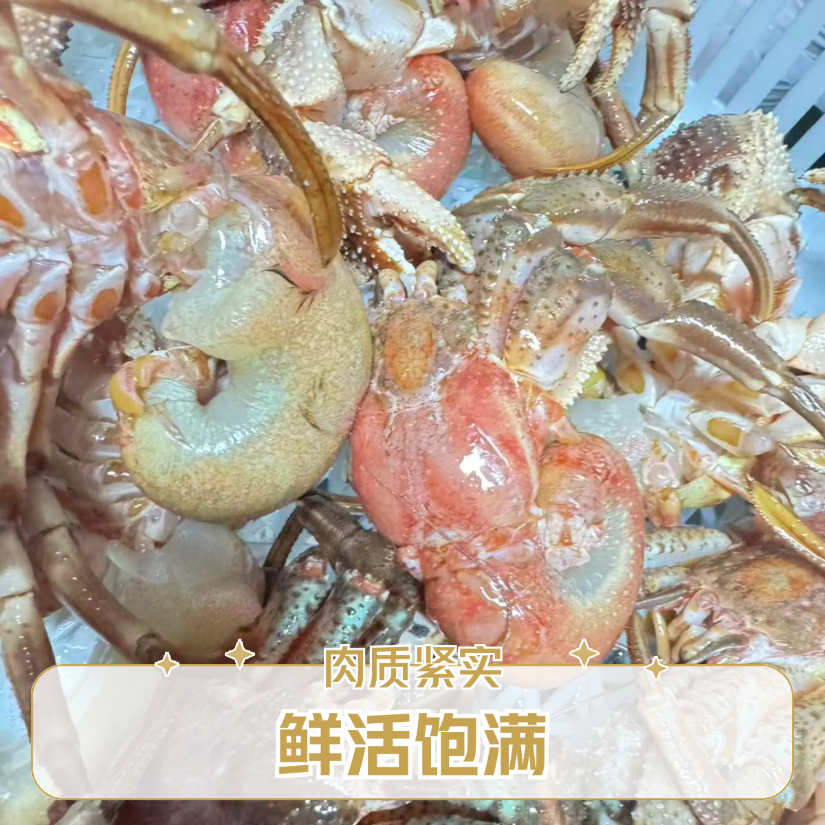 大虾怪【纯肉】二斤装【保鲜不保活】