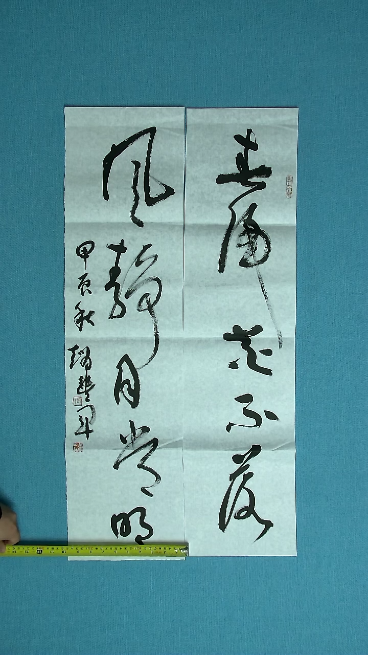 【闪购商品】书法265 河南赵丰军中书协94*24