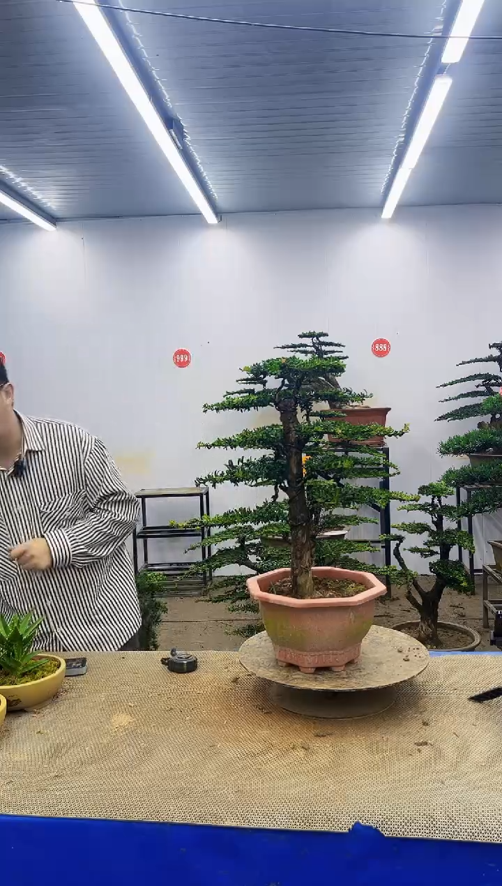 完全开放一物一拍，所见即所得