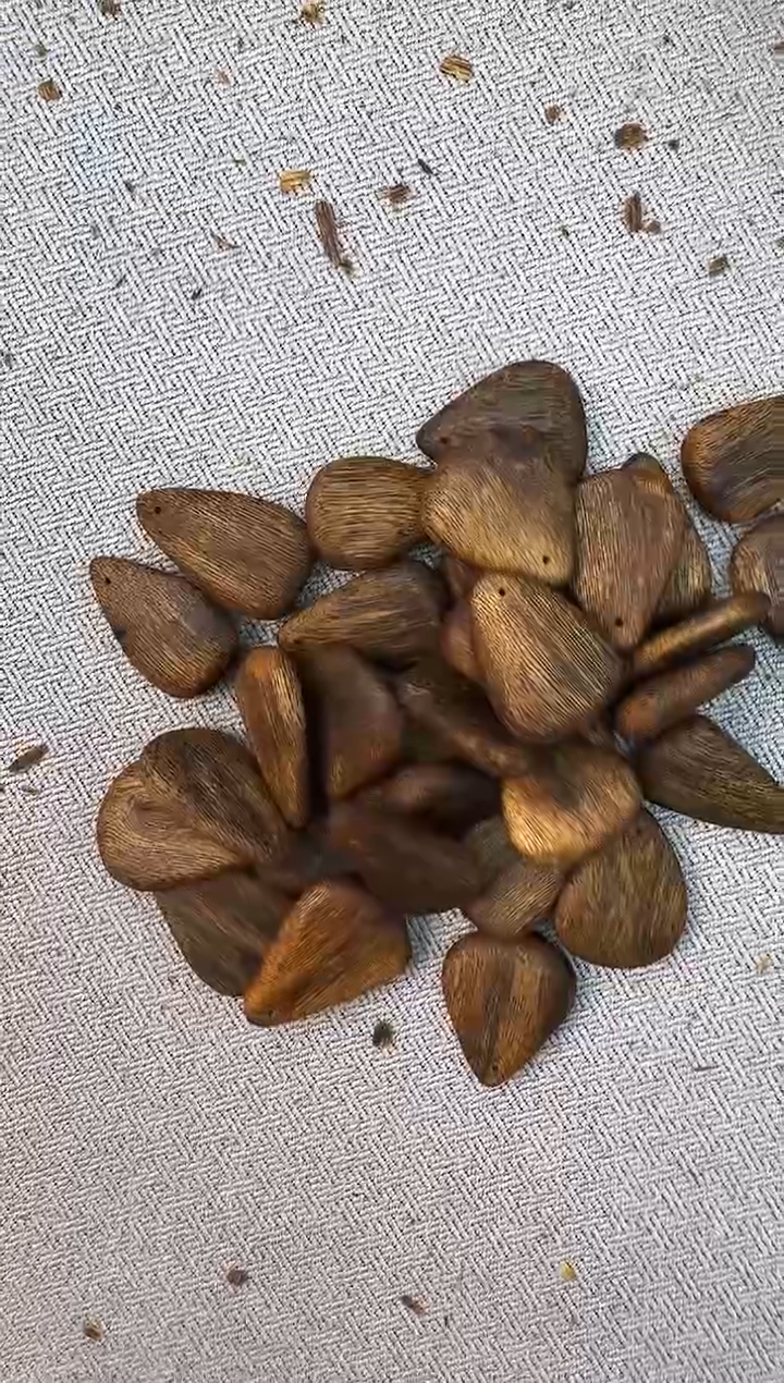 沉香碎屑沉香白奇牌静静沉香甄选多样性发一