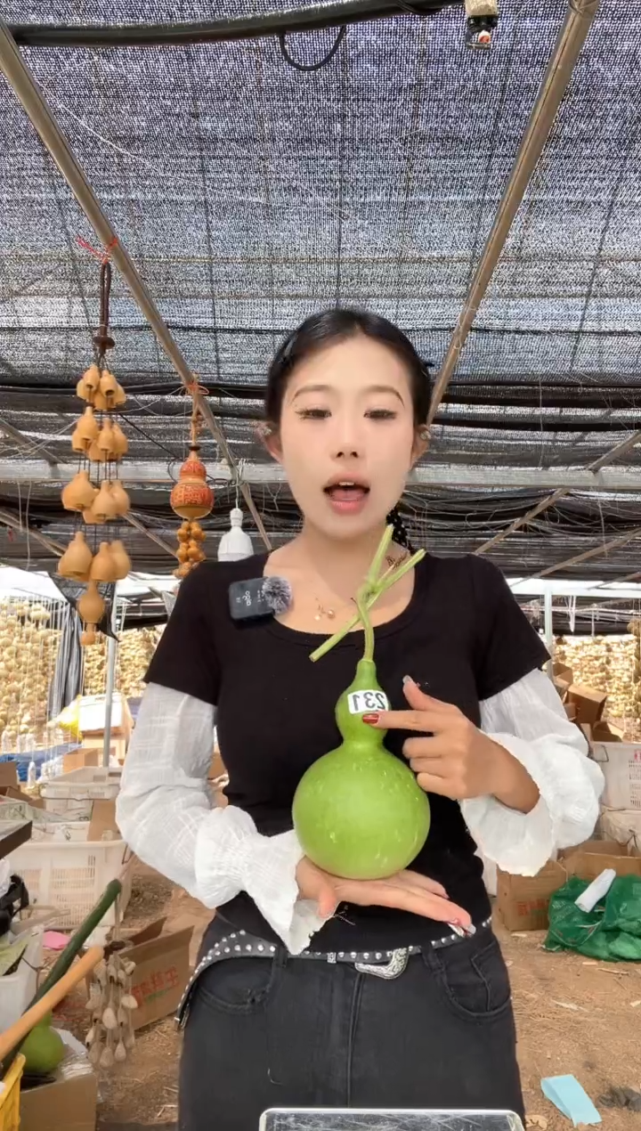 231天然葫芦摆件 一物一拍龙头不保售后微瑕疵