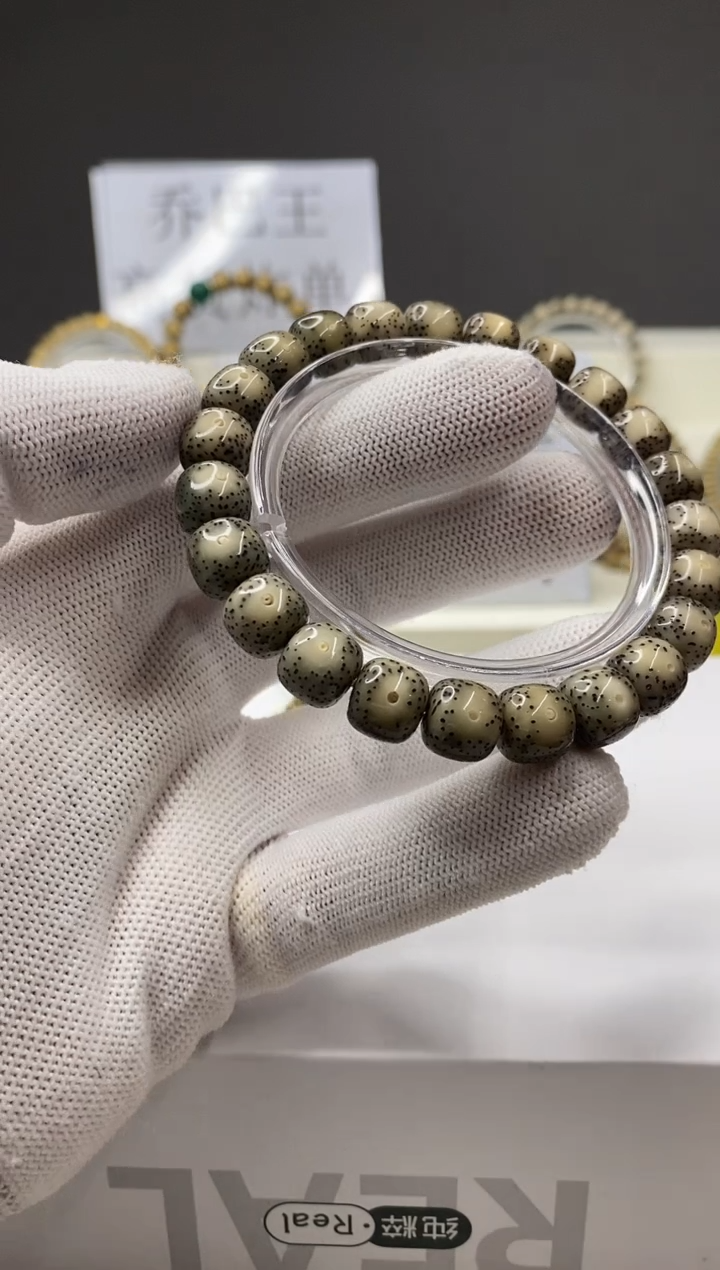 手串星月菩提一物一图-W26-173