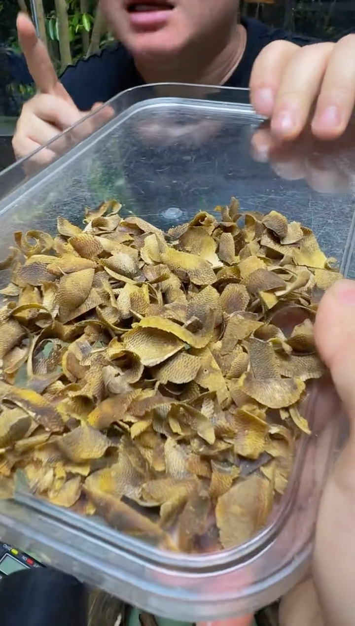 沉香碎屑沉香➕乌身切片5克多样性发1